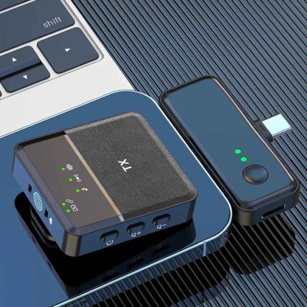 میکروفون بی سیم مدل SX-31